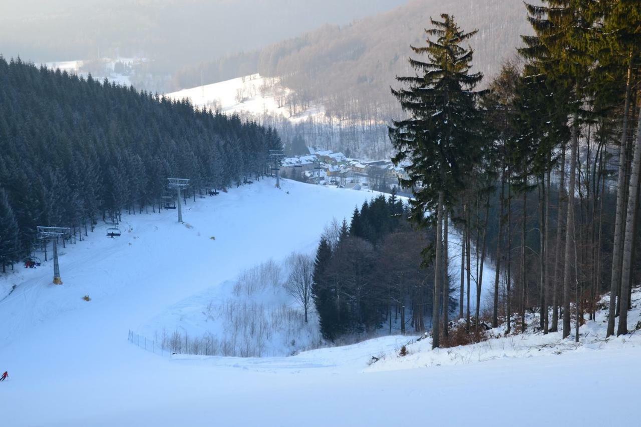 Apartman Pod Medvedi Horou Loučná nad Desnou Extérieur photo